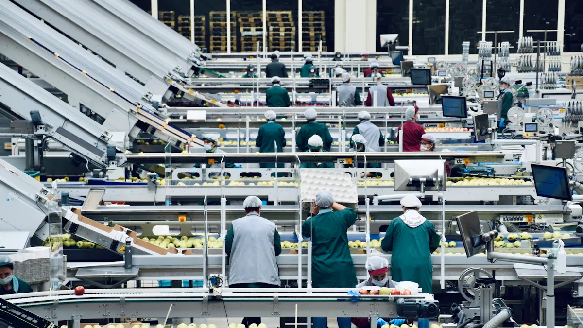 Steps to Set Up a Mayonnaise Production Line and Estimate Costs